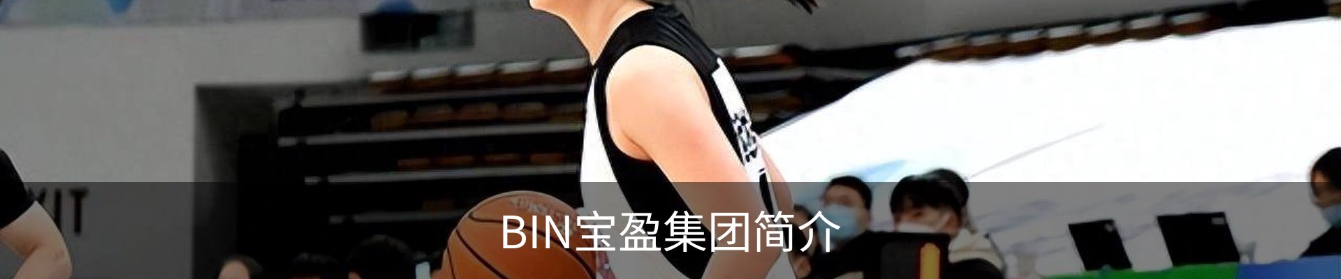 BIN宝盈集团简介